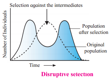 Maharashtra Board Solutions Class 12 Biology: Chapter 5- Origin and Evolution of Life Question 3