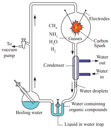 Maharashtra Board Solutions Class 12 Biology: Chapter 5- Origin and Evolution of Life Question 5.4