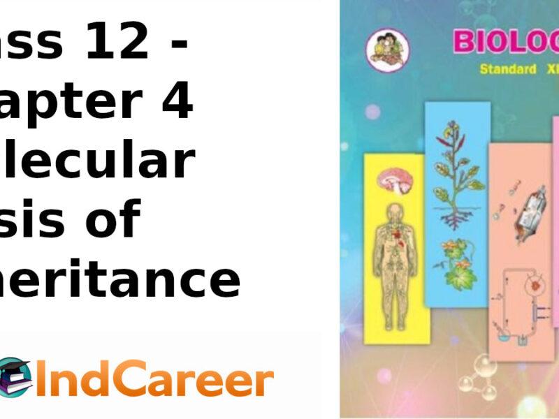 Maharashtra Board Solutions Class 12 Biology: Chapter 4- Molecular Basis of Inheritance