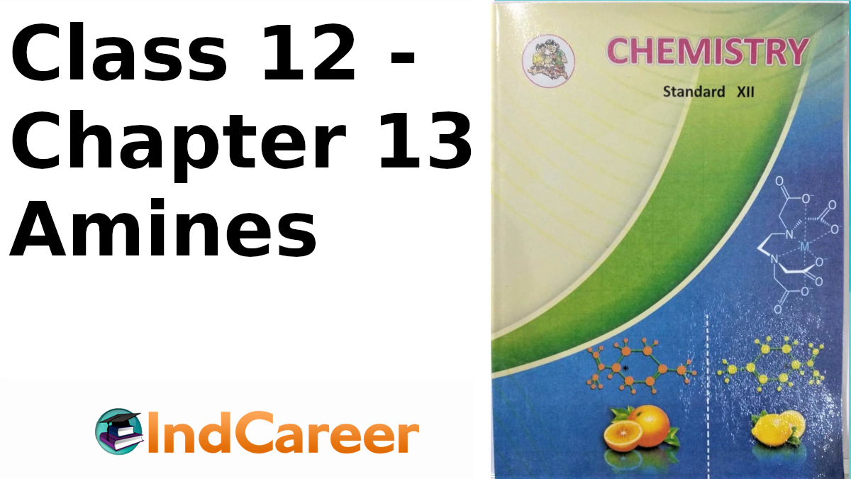Maharashtra Board Solutions Class 12 Chemistry: Chapter 13- Amines