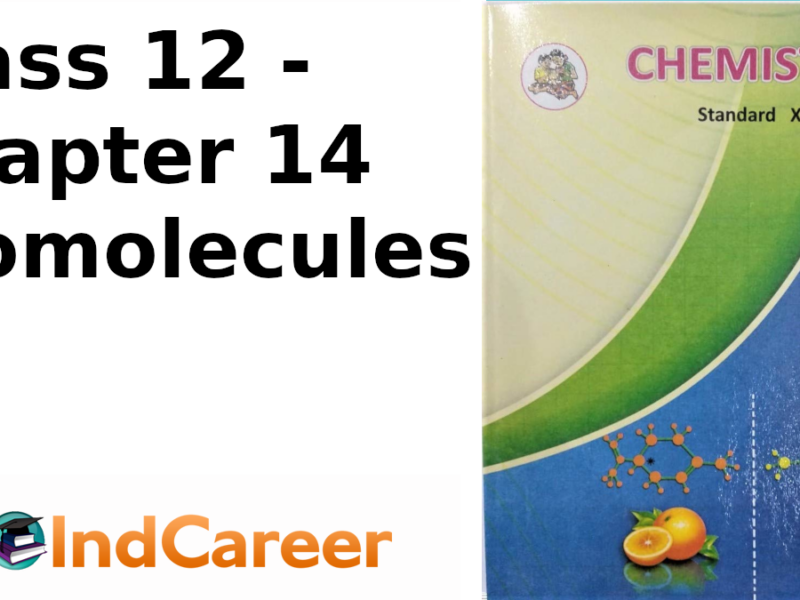 Maharashtra Board Solutions Class 12 Chemistry: Chapter 14- Biomolecules