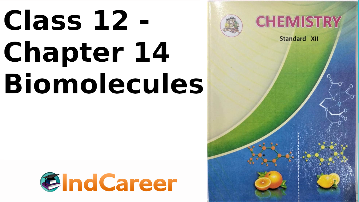 class 12 chemistry chapter 14 exercise solutions maharashtra board