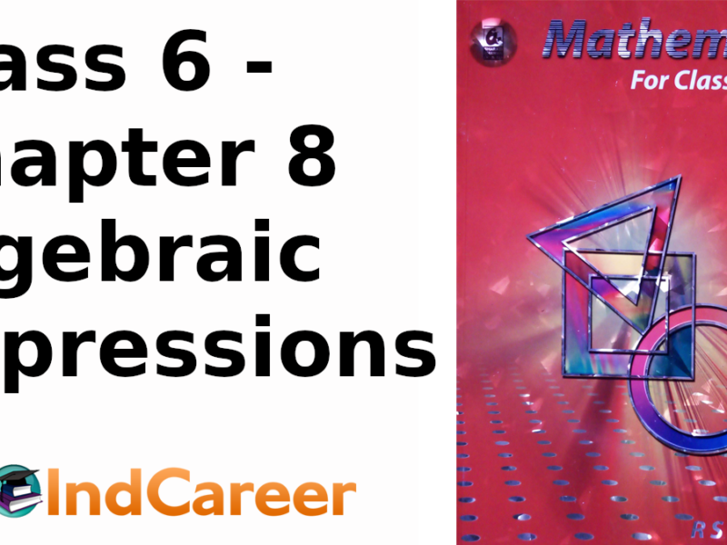 RS Aggarwal Solutions for Class 6 Maths Chapter 8–Algebraic Expressions