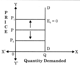 Maharashtra Board Solutions Class 12 Economics: Chapter 3(B)- Elasticity of Demand 5.2