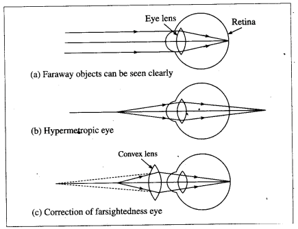 Maharashtra Board Solutions for Class 10- Science (Part 1): Chapter 7- Lenses
