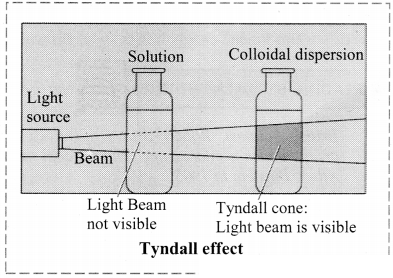 Maharashtra Board Solutions Class 11-Chemistry: Chapter 11- Adsorption and Colloids 1.F