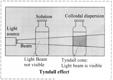 Maharashtra Board Solutions Class 11-Chemistry: Chapter 11- Adsorption and Colloids 10