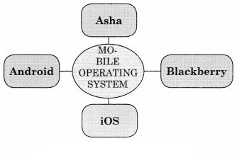 Maharashtra Board Solutions Class 11-Information Technology: Chapter 1- Basics of Information Technology 5.1