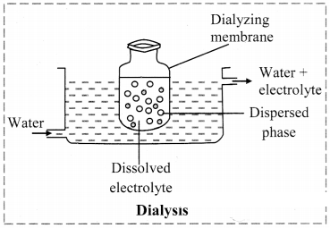 Maharashtra Board Solutions Class 11-Chemistry: Chapter 11- Adsorption and Colloids 10