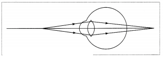 Maharashtra Board Solutions for Class 10- Science (Part 1): Chapter 7- Lenses