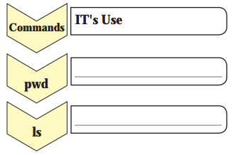 Maharashtra Board Solutions Class 11-Information Technology: Chapter 1- Basics of Information Technology 6.1