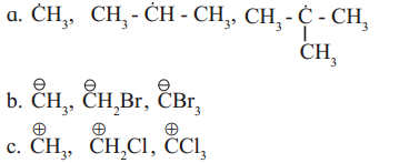 Maharashtra Board Solutions Class 11-Chemistry: Chapter 14- Basic Principles of Organic Chemistry 1.G