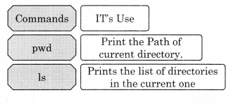 Maharashtra Board Solutions Class 11-Information Technology: Chapter 1- Basics of Information Technology 6.1