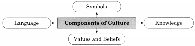 Maharashtra Board Solutions Class 11-Sociology: Chapter 5- Culture 5.1