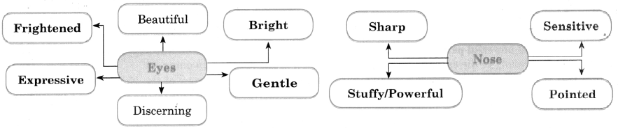 Maharashtra Board Solutions Class 11-English Yuvakbharati (Poetry): Chapter 5- Nose Versus Eyes i