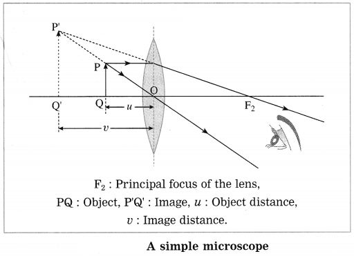 Maharashtra Board Solutions for Class 10- Science (Part 1): Chapter 7- Lenses