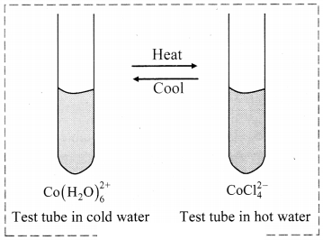 Maharashtra Board Solutions Class 11-Chemistry: Chapter 12- Chemical Equilibrium 1
