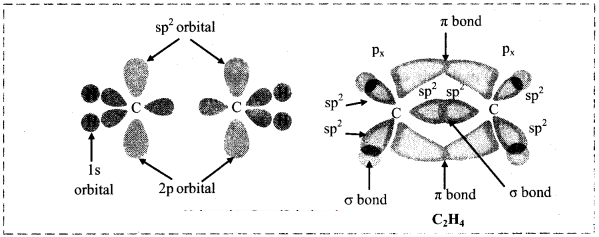 Maharashtra Board Solutions Class 11-Chemistry: Chapter 5- Chemical Bonding 2.B