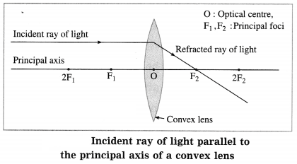 Maharashtra Board Solutions for Class 10- Science (Part 1): Chapter 7- Lenses
