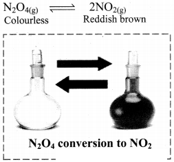 Maharashtra Board Solutions Class 11-Chemistry: Chapter 12- Chemical Equilibrium