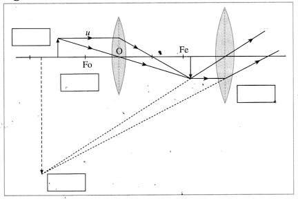 Maharashtra Board Solutions for Class 10- Science (Part 1): Chapter 7- Lenses
