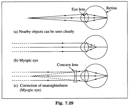 Maharashtra Board Solutions for Class 10- Science (Part 1): Chapter 7- Lenses