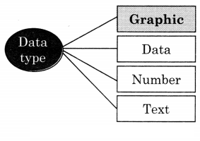 Maharashtra Board Solutions Class 11-Information Technology: Chapter 2- Introduction to DBMS 1.1