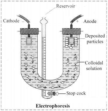 Maharashtra Board Solutions Class 11-Chemistry: Chapter 11- Adsorption and Colloids 1.G