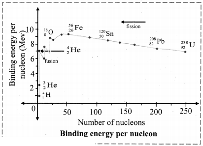 Maharashtra Board Solutions Class 11-Chemistry: Chapter 13- Nuclear Chemistry and Radioactivity 2.F