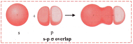 Maharashtra Board Solutions Class 11-Chemistry: Chapter 5- Chemical Bonding 2.D