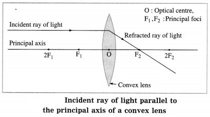 Maharashtra Board Solutions for Class 10- Science (Part 1): Chapter 7- Lenses