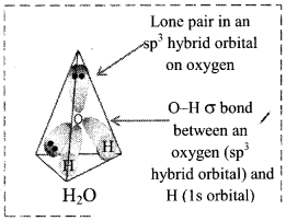 Maharashtra Board Solutions Class 11-Chemistry: Chapter 5- Chemical Bonding 3.B
