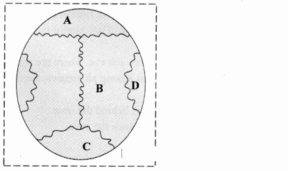 Maharashtra Board Solutions Class 11-Biology: Chapter 16- Skeleton and Movement