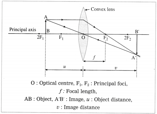 Maharashtra Board Solutions for Class 10- Science (Part 1): Chapter 7- Lenses