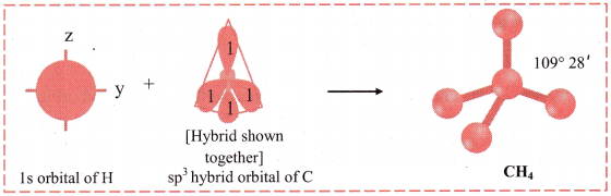 Maharashtra Board Solutions Class 11-Chemistry: Chapter 5- Chemical Bonding 3.F
