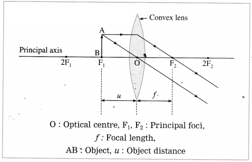 Maharashtra Board Solutions for Class 10- Science (Part 1): Chapter 7- Lenses