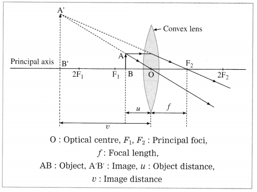 Maharashtra Board Solutions for Class 10- Science (Part 1): Chapter 7- Lenses