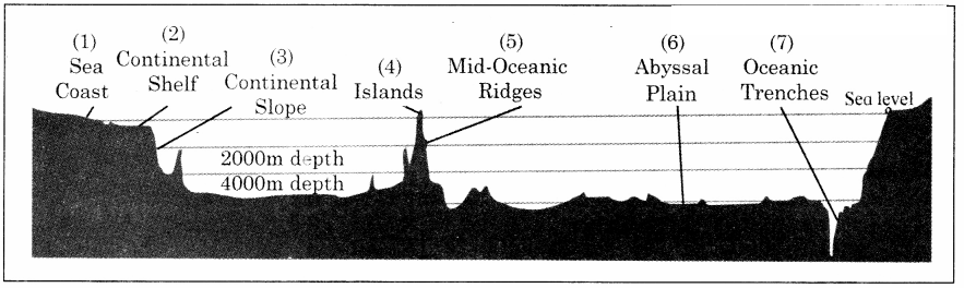 Maharashtra Board Solutions Class 11-Geography: Chapter 6- Ocean Resources 5