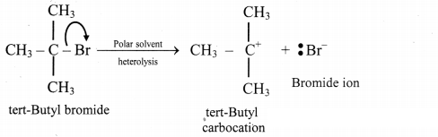 Maharashtra Board Solutions Class 11-Chemistry: Chapter 14- Basic Principles of Organic Chemistry 13