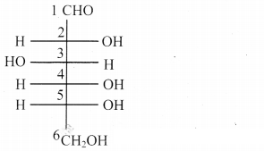 Maharashtra Board Solutions Class 11-Chemistry: Chapter 14- Basic Principles of Organic Chemistry