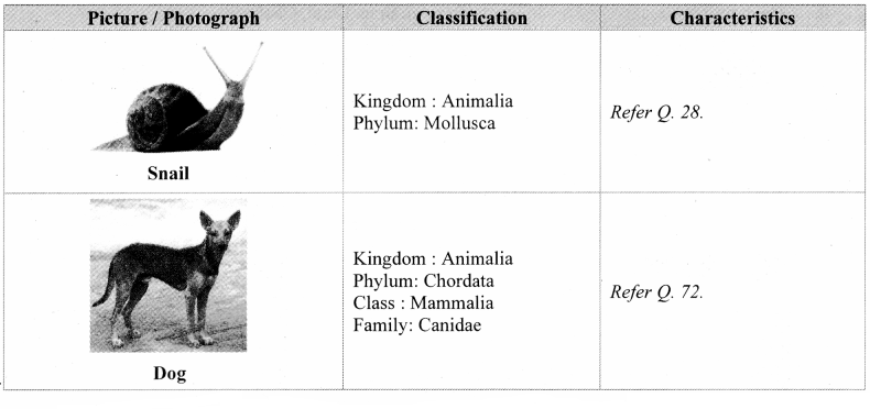 Maharashtra Board Solutions Class 11-Biology: Chapter 4- Kingdom Animalia