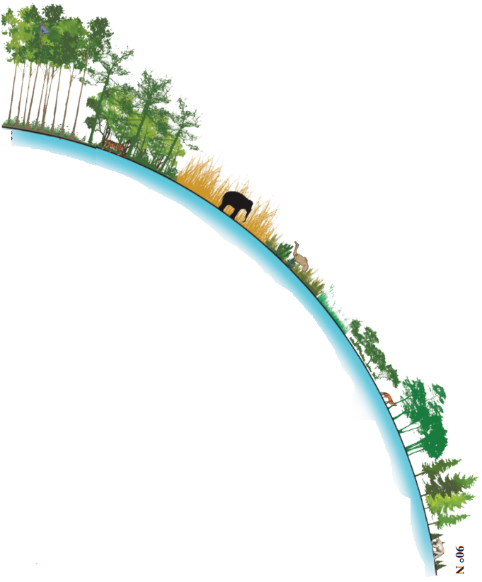 Maharashtra Board Solutions Class 11-Geography: Chapter 8- Biomes