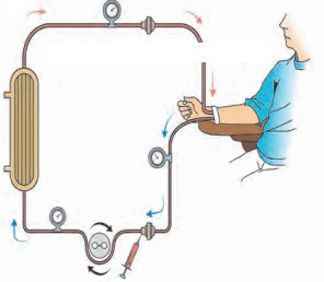 Maharashtra Board Solutions Class 11-Biology: Chapter 15- Excretion and Osmoregulation E