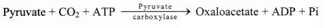 Maharashtra Board Solutions Class 11-Biology: Chapter 6- Biomolecules Question 2.(F)
