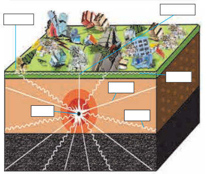 Maharashtra Board Solutions Class 11-Geography: Chapter 1- Earth Movements 4