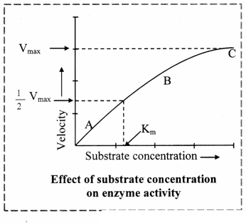 Maharashtra Board Solutions Class 11-Biology: Chapter 6- Biomolecules Question 2.(G)