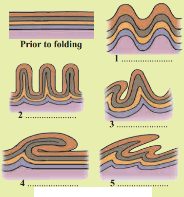Maharashtra Board Solutions Class 11-Geography: Chapter 1- Earth Movements 1