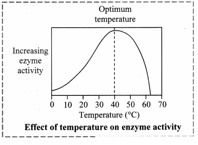 Maharashtra Board Solutions Class 11-Biology: Chapter 6- Biomolecules Question 2.(G)