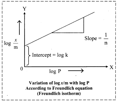 Maharashtra Board Solutions Class 11-Chemistry: Chapter 11- Adsorption and Colloids 4.B