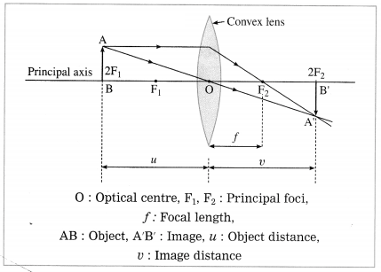 Maharashtra Board Solutions for Class 10- Science (Part 1): Chapter 7- Lenses